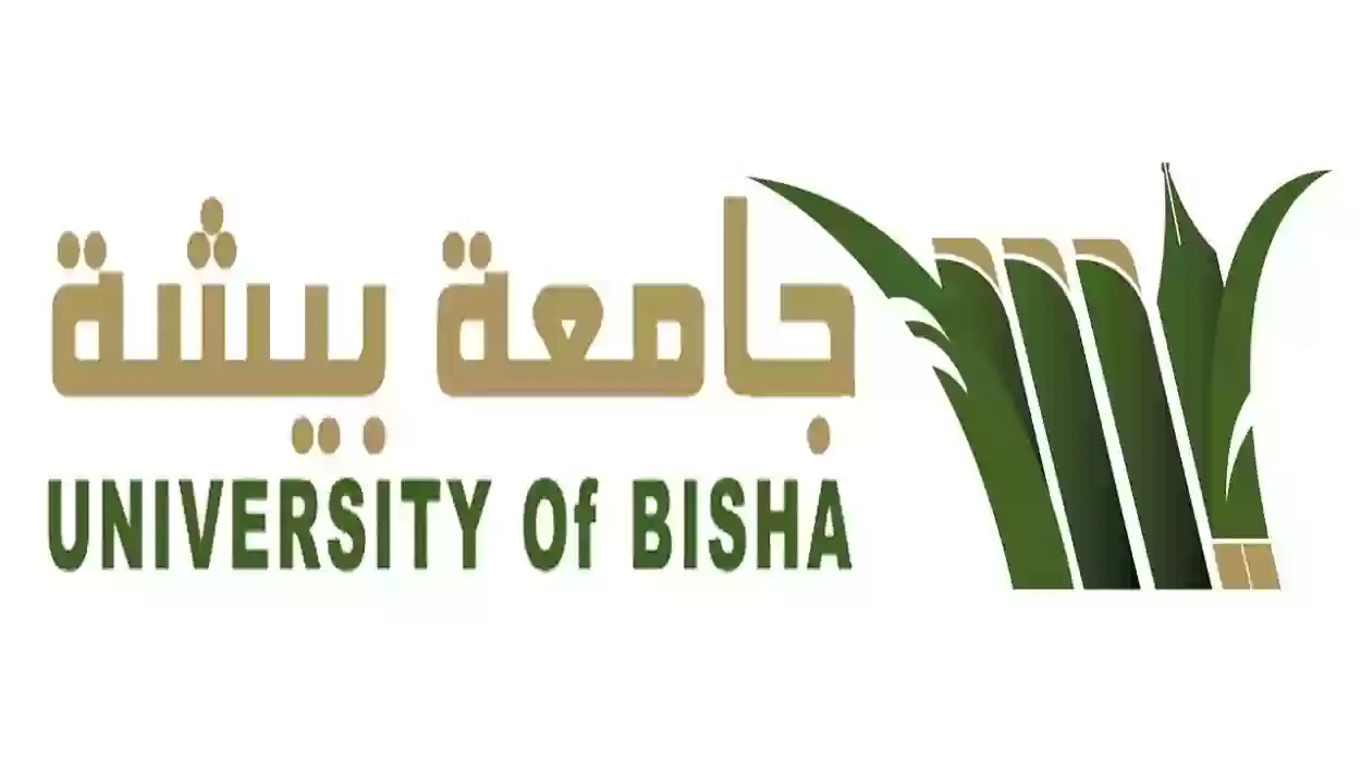 رابط التقديم على وظائف جامعة بيشة 1446.. الشروط والوثائق المطلوبة