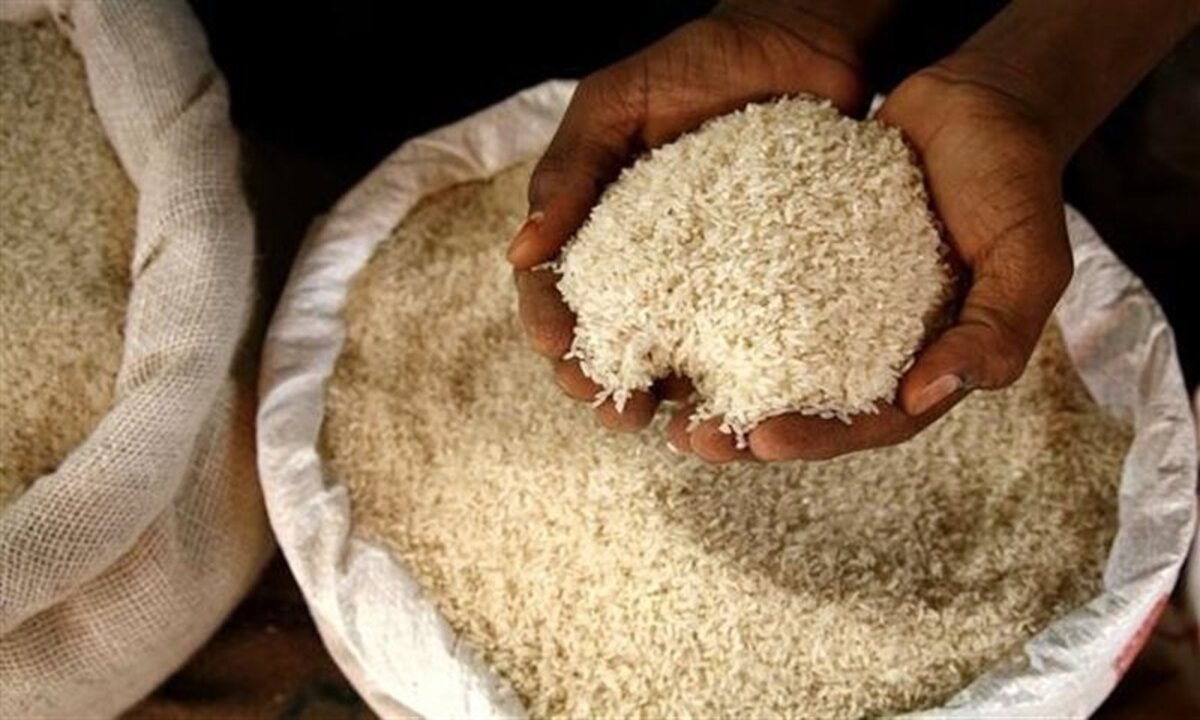 هل تأثر بقدوم رمضان؟!.. سعر طن الأرز الشعير اليوم الجمعة الموافق 27 ديسمبر 2024 وأسعار البلدي العريض والرفيع والأبيض 