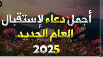 IMG 20241231 221536