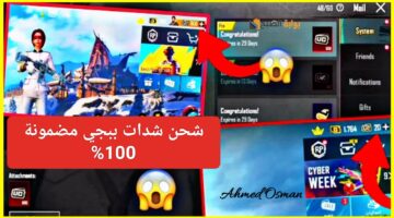 IMG ٢٠٢٤١٢١٠ ٢١٥٠٠٠
