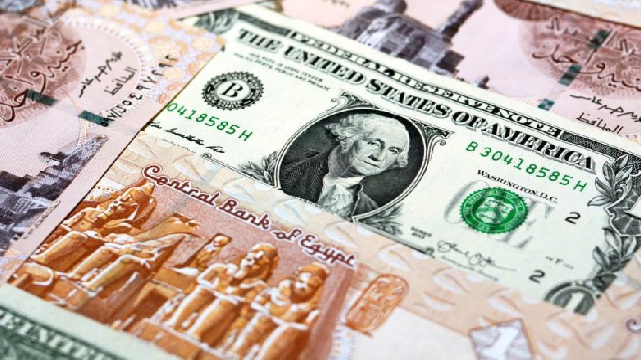 سعر الدولار اليوم في الأسواق المصرية .. أعرف سعر البيع والشراء 