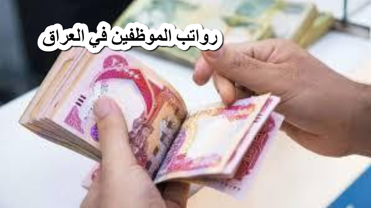 وزارة المالية العراقية توضح تفاصيل هامة عن رواتب الموظفين في العراق لهذا الشهر 5 وزارة المالية العراقية توضح تفاصيل هامة عن رواتب الموظفين في العراق لهذا الشهر