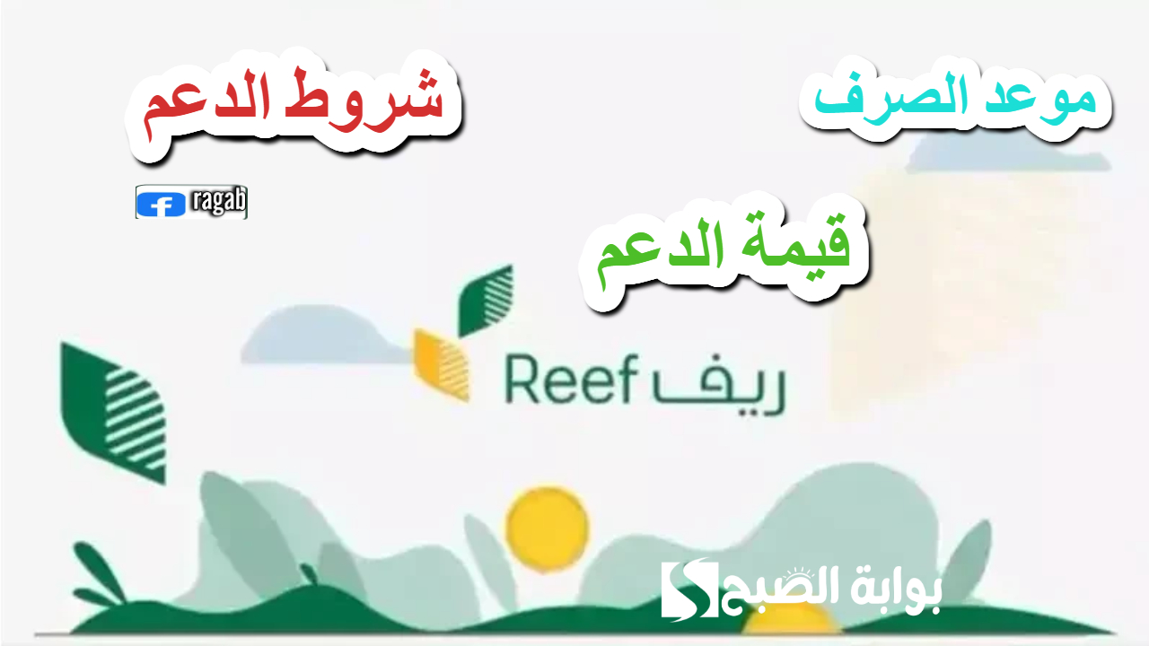 دعم ريف شهر يناير 2025 تفاصيل هامة توضحها الوزارة حول الموعد والاستحقاق وقيمة الدعم 2 دعم ريف شهر يناير 2025 تفاصيل هامة توضحها الوزارة حول الموعد والاستحقاق وقيمة الدعم