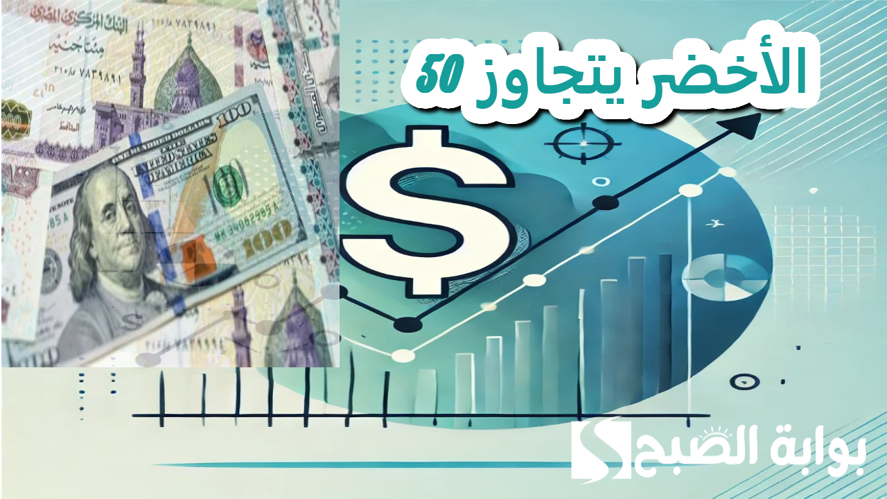 سعر الدولار اليوم يتخطى 50 جنيها في البنوك المصرية 5 سعر الدولار اليوم يتخطى 50 جنيها في البنوك المصرية
