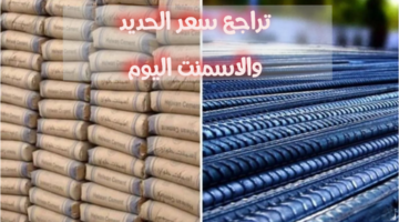 img 1734421461669