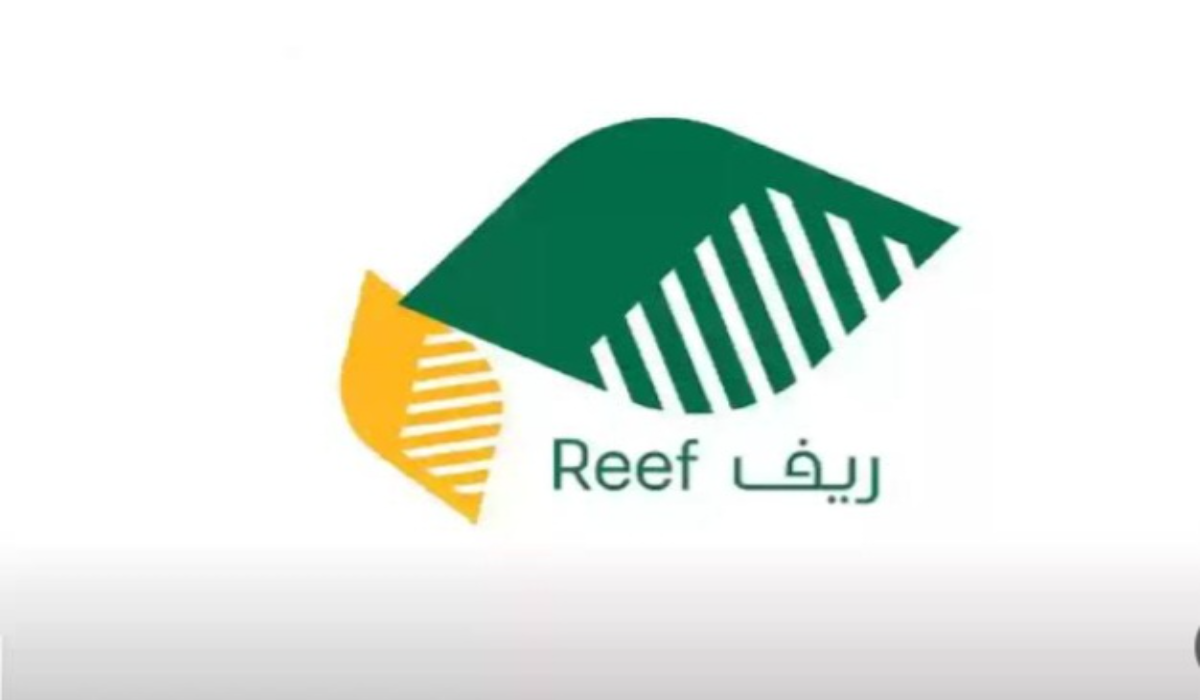 طرق الاستعلام عن دعم ريف وشروط الحصول على الدعم والأوراق المطلوبة