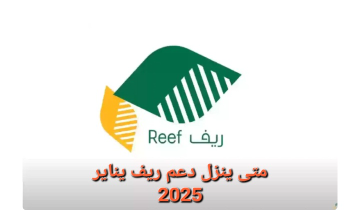 استعلام عن دعم ريف متى ينزل دفعة شهر يناير 2025 وكيفية الاستعلام عن الدعم وشروط التسجيل
