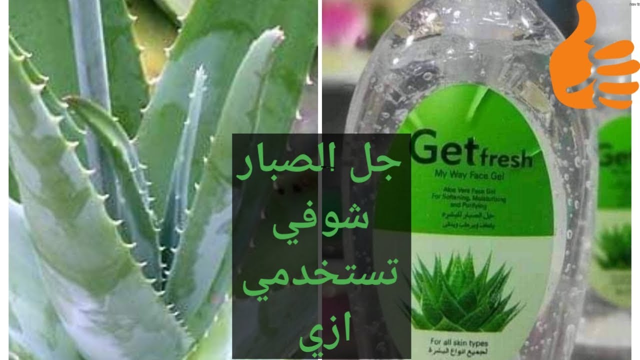 بجل الصبار وزبدة الشيا اعملي أفضل مرطب طبيعي للبشرة في البيت نتيجتة خطيرة مش هتصدقي الفرق