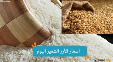 أسعار الأرز الشعير اليوم