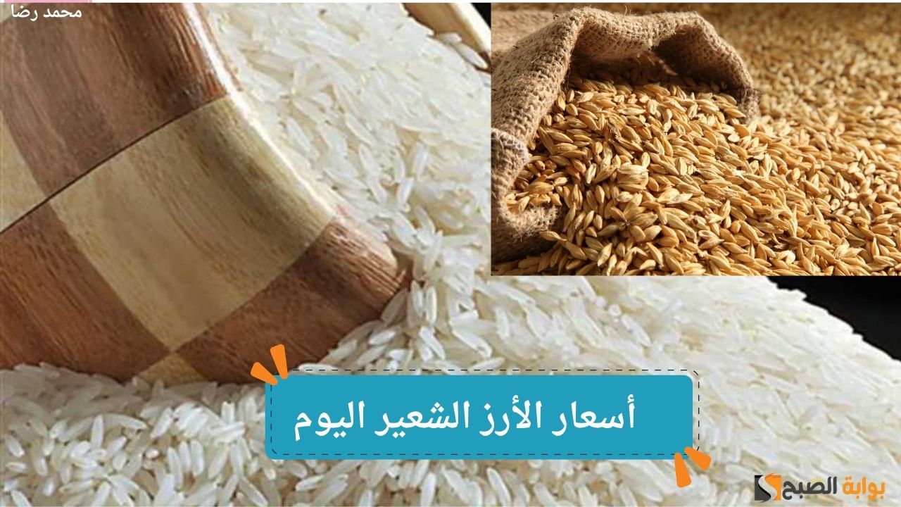 “قبل زحمة رمضان”.. أسعار الأرز الشعير اليوم السبت 28 ديسمبر 2024 في الأسواق المصرية الحبة الطويلة والرفيعة