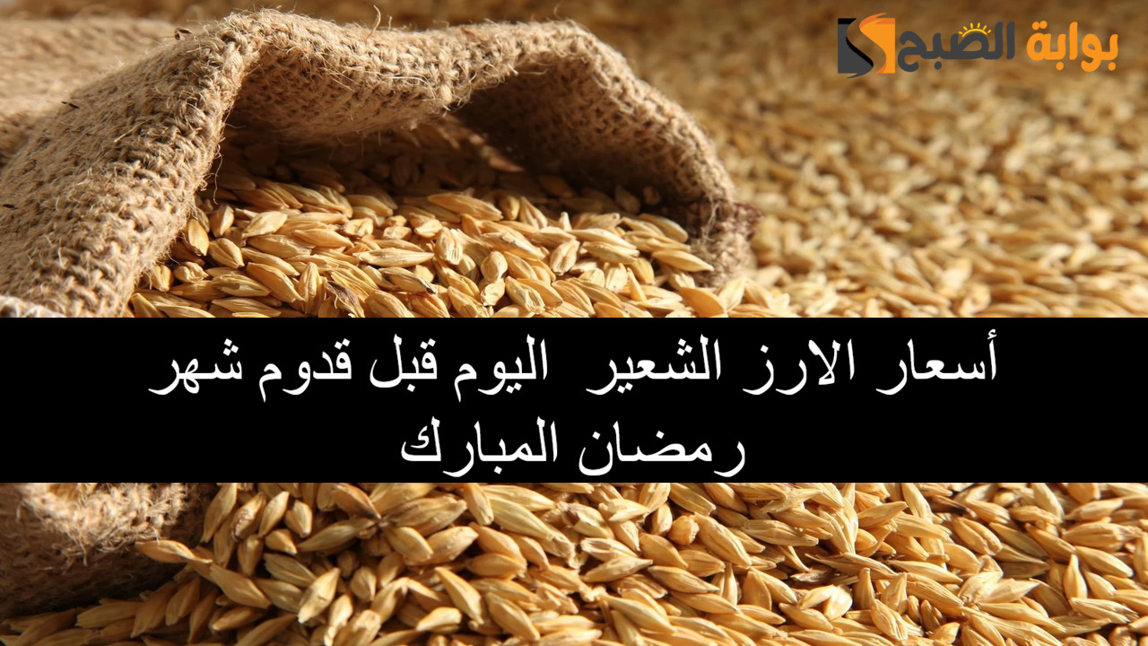 “بكام” أسعار الارز الشعير اليوم الأحد 29/12/2024 وقبل قدوم شهر رمضان المبارك