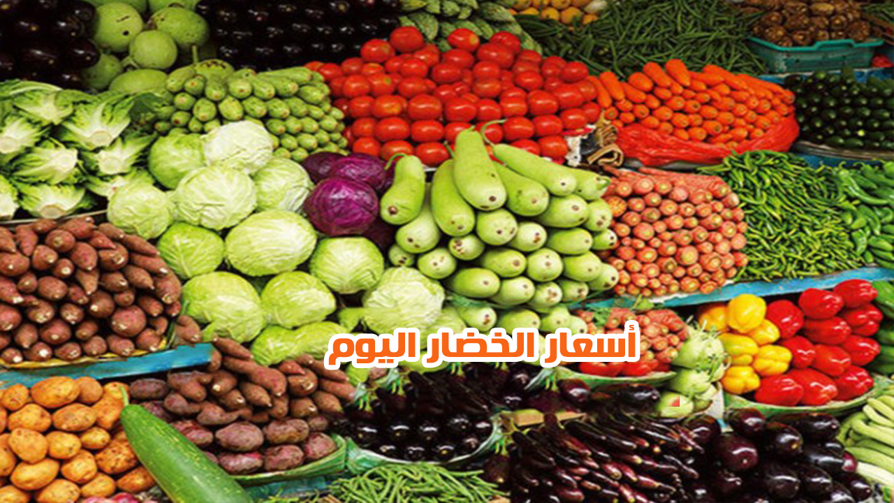 تراجع الطماطم والبطاطس... أسعار الخضار اليوم السبت 7 ديسمبر 2024 2 تراجع الطماطم والبطاطس… أسعار الخضار اليوم السبت 7 ديسمبر 2024
