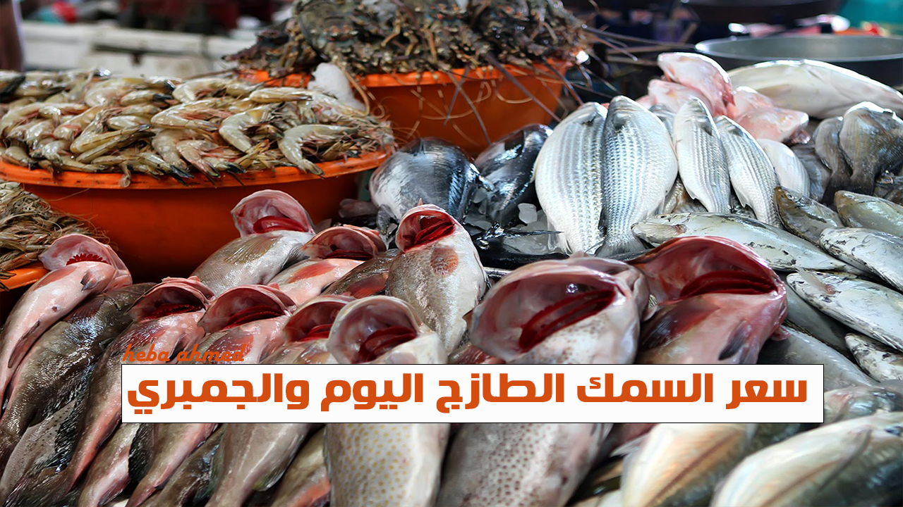 بأرخص سعر النهاردة.. انخفاض أسعار السمك والجمبري اليوم الأحد 15 ديسمبر 2024 في السوق