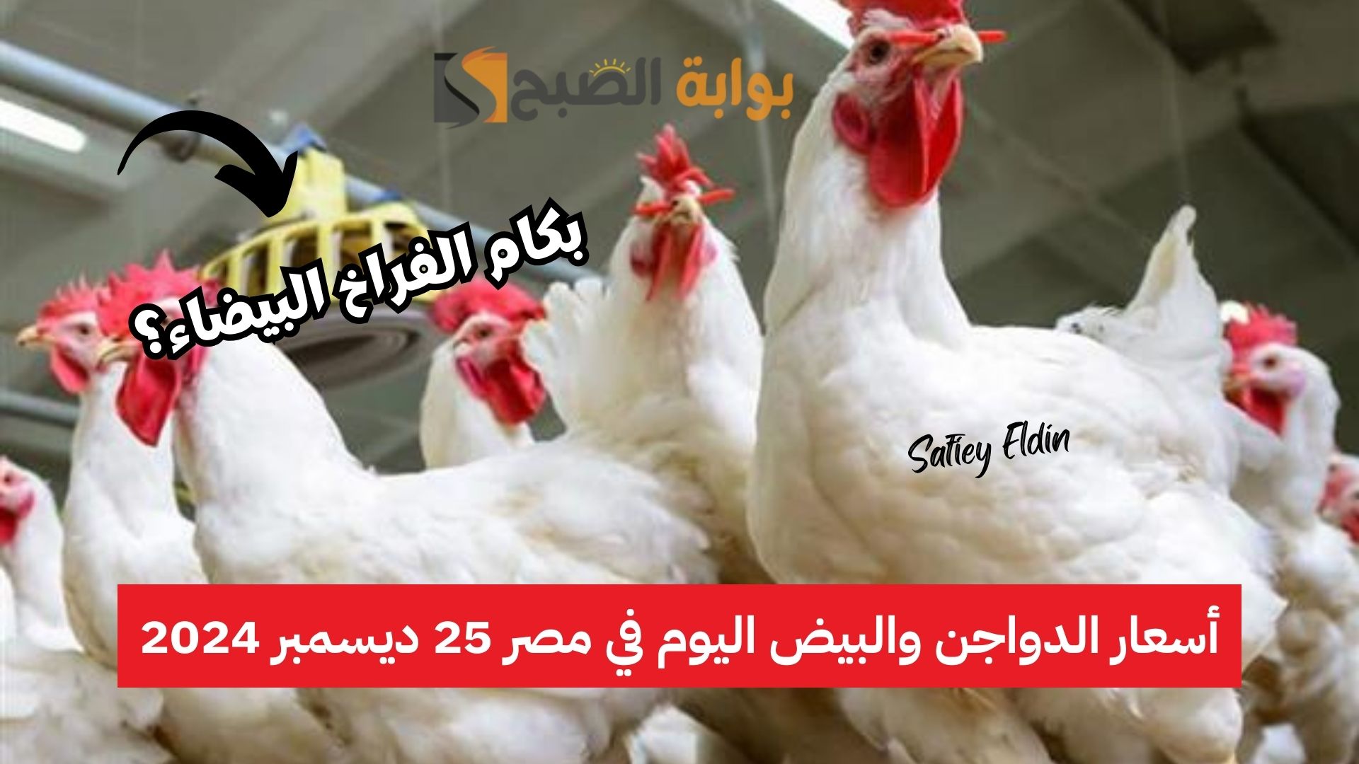 بكام النهاردة؟ أسعار الفراخ اليوم الأربعاء 25 ديسمبر 2024 في بورصة الدواجن المصرية 2 بكام النهاردة؟ أسعار الفراخ اليوم الأربعاء 25 ديسمبر 2024 في بورصة الدواجن المصرية