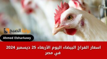 أسعار كرتونة البيض اليوم