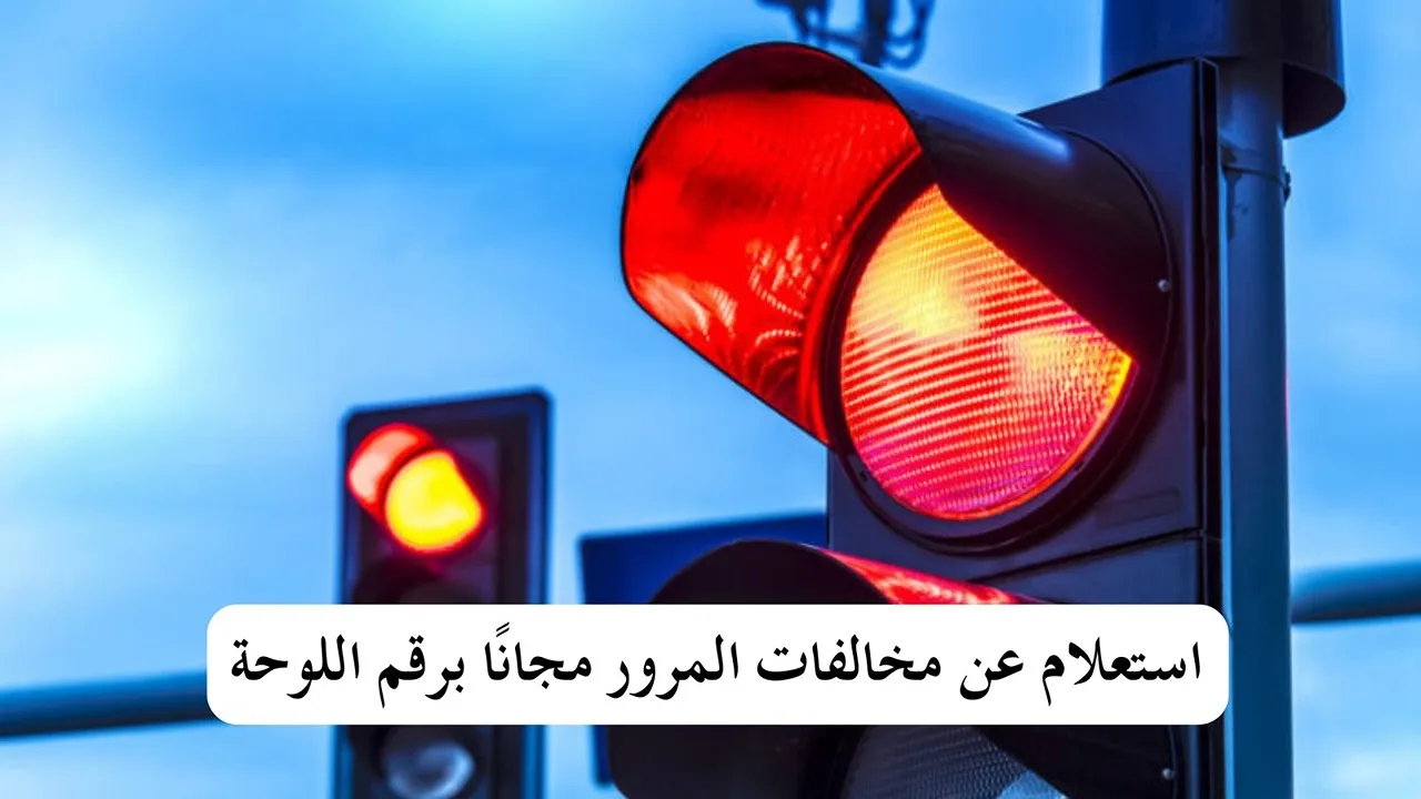 أسهل خطوات.. موقع الاستعلام عن مخالفات المرور مجانًا عبر ppo.gov.eg النيابة العامة المصرية