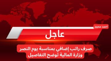 أمر صرف راتب إضافي على رواتب شهر يناير 2025 بمناسبة يوم النصر