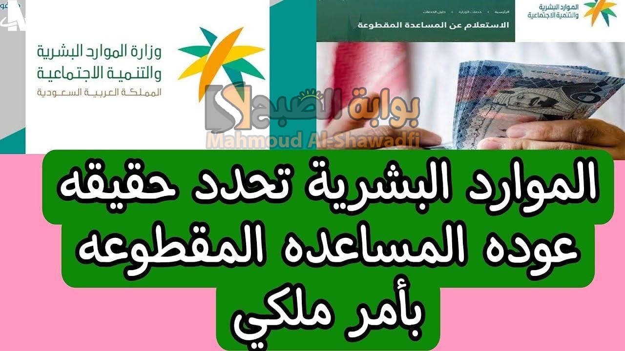 أمر ملكي.. عودة صرف المساعدة المقطوعة لشهر يناير 2025 "الموارد البشرية" توضح الحقيقة 5 أمر ملكي.. عودة صرف المساعدة المقطوعة لشهر يناير 2025 “الموارد البشرية” توضح الحقيقة