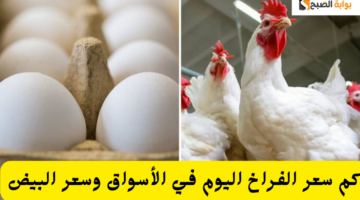 إضافة عنوان فرعي 2
