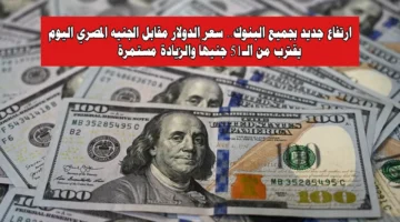 ارتفاع جديد بجميع البنوك. سعر الدولار مقابل الجنيه المصري اليوم يقترب من الـ51 جنيهًا