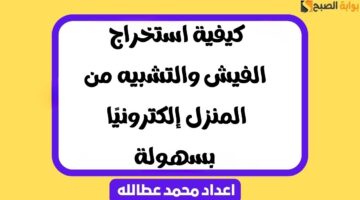 استخراج الفيش والتشبيه