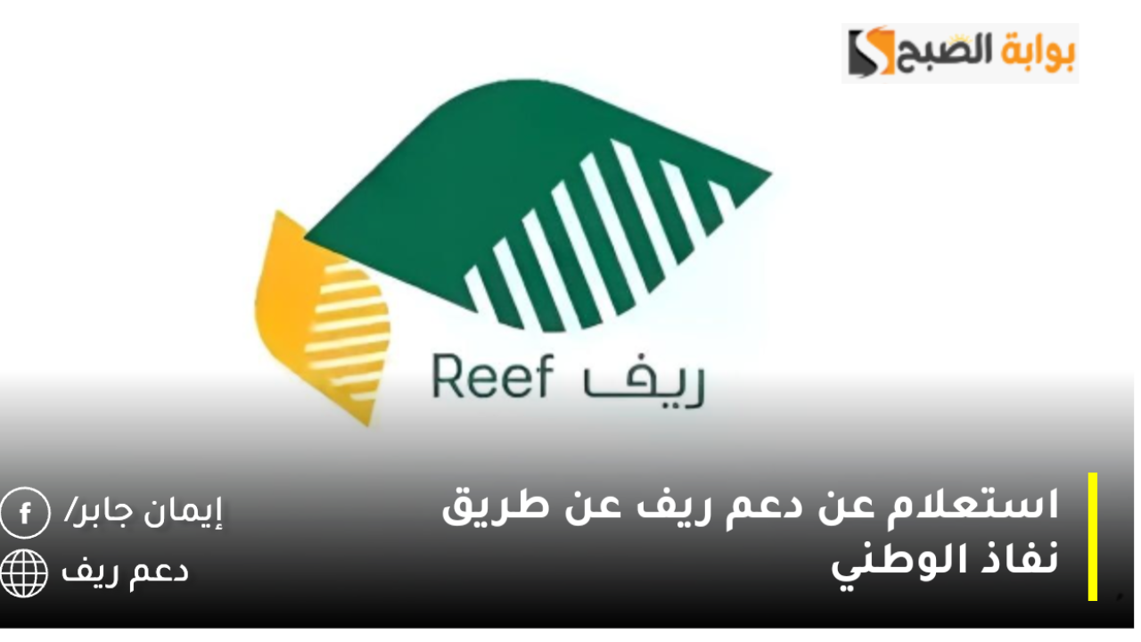 استعلام عن دعم ريف عن طريق النفاذ الوطني 1446 reef.gov.sa موعد صرف الدعم الريفي للأسر المنتجة 5 استعلام عن دعم ريف عن طريق النفاذ الوطني 1446 reef.gov.sa موعد صرف الدعم الريفي للأسر المنتجة