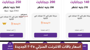 اسعار باقات الانترنت المنزلي ٢٠٢٥ الجديدة