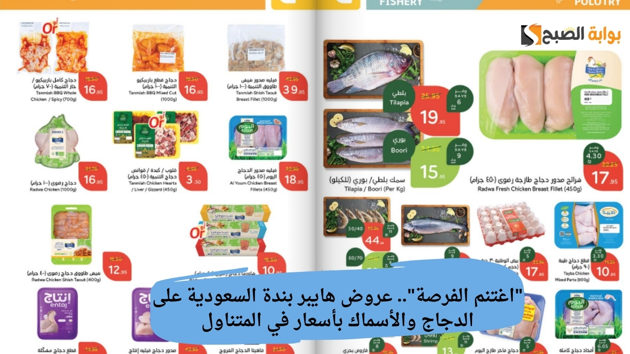 “اغتنم الفرصة”.. عروض هايبر بندة السعودية على الدجاج والأسماك بأسعار في المتناول حتى 3 ديسمبر 2024
