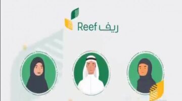 الاستعلام عن القبول ببرنامج ريف 1446