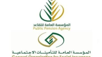 الاستعلام عن طلب التأمينات الاجتماعية في السعودية