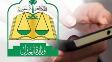 الاستعلام عن قضية برقم الهوية