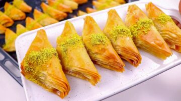 الجلاش 1