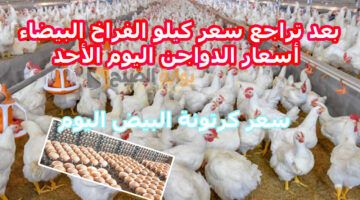 الدواجن