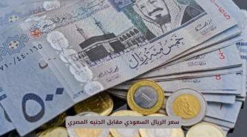 الريال السعودي في مصر