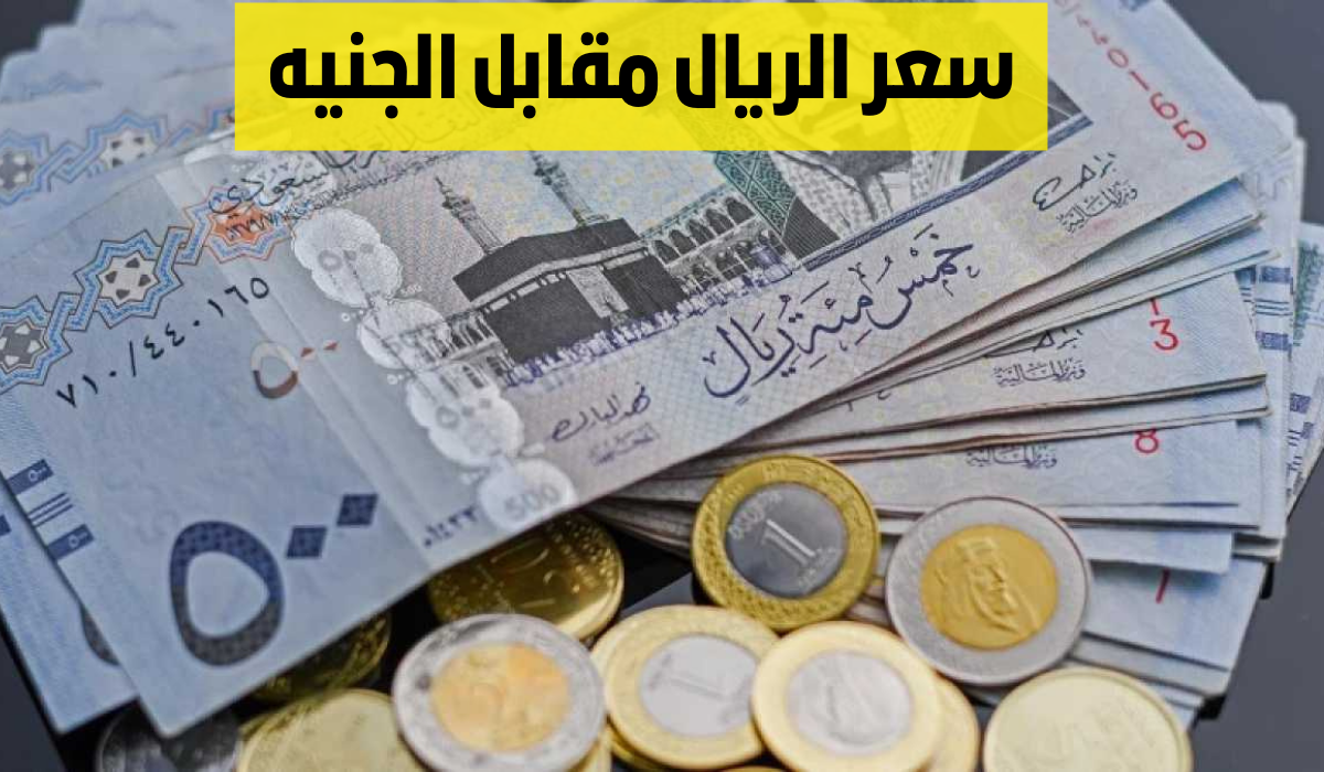 “1000 ريال سعودي بكم جنية مصري” .. لزوار بيت الله الحرام تعرف على سعر الريال اليوم الأحد في مصر 15 ديسمبر 2024 في البنوك المصرية
