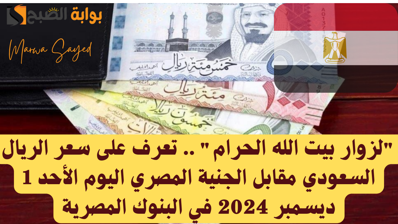 “لزوار بيت الله الحرام” .. تعرف على سعر الريال السعودي مقابل الجنية المصري اليوم الأحد 1 ديسمبر 2024 في البنوك المصرية