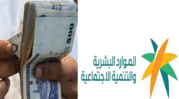 الضمان الاجتماعي الدفعة 36 لشهر ديسمبر