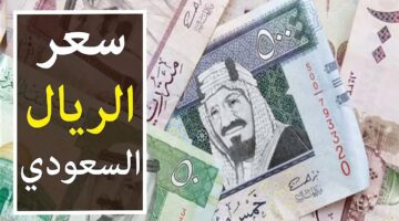 انخفاض جديد. سعر الريال السعودي اليوم مقابل الجنيه المصري الثلاثاء 31 ديسمبر 2024