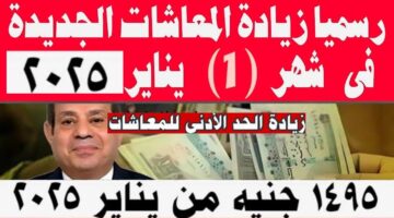 بعد زيادتها بشكل رسمي. موعد صرف معاشات يناير 2025 للقطاع الحكومي والخاص