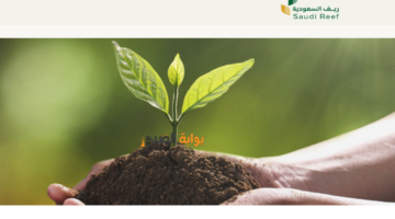 بوابة ريف11