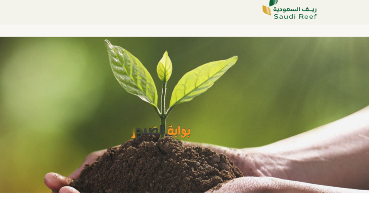 ما هي شروط التسجيل في برنامج ريف ؟.. وزارة البيئة توضح 2 ما هي شروط التسجيل في برنامج ريف ؟.. وزارة البيئة توضح