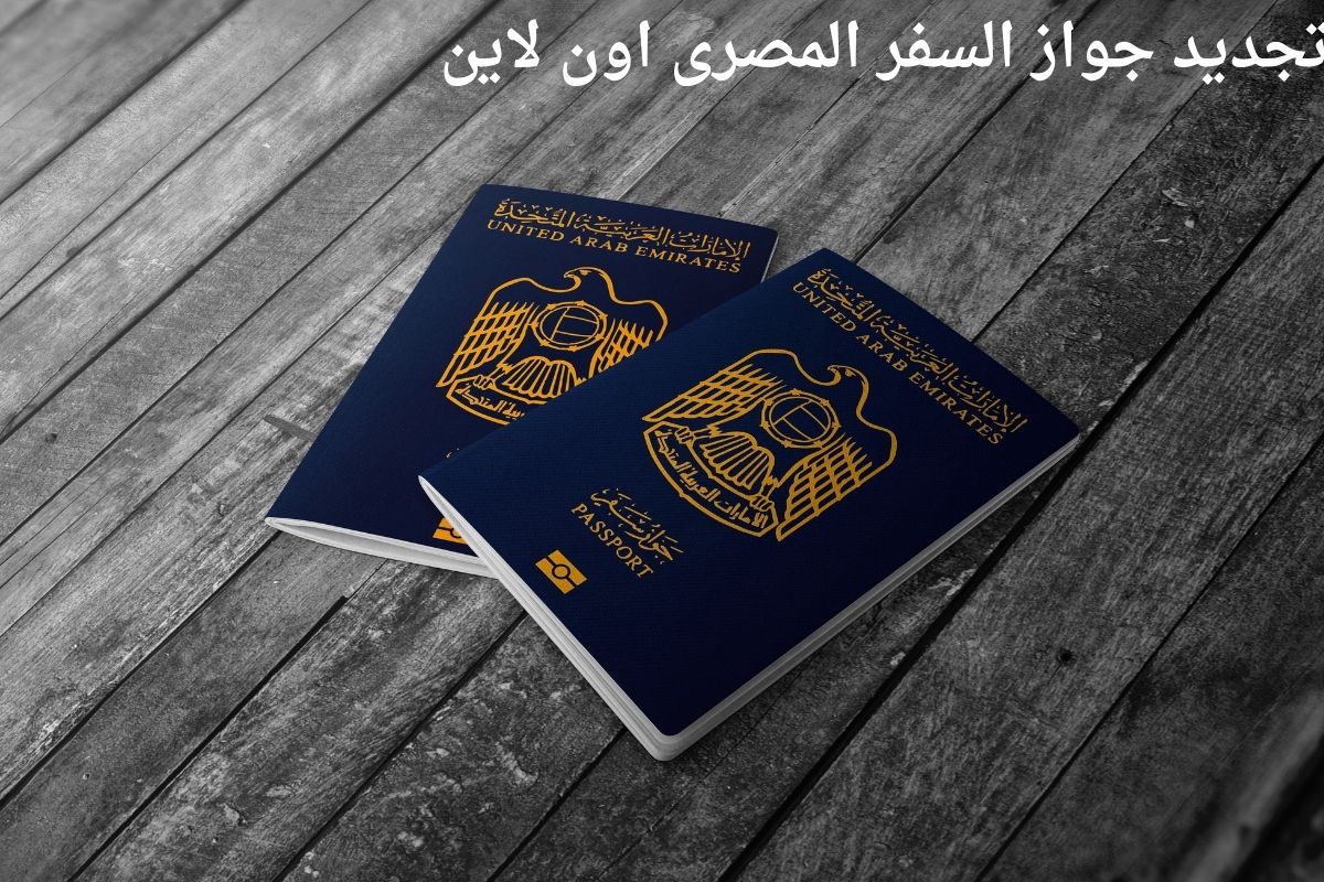 بخطوات سهلة وبسيطة.. تجديد جواز السفر أون لاين وكيفية استخراج جواز سفر جديد