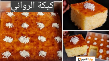 تصميم بدون عنوان.zip 1