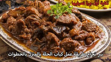 تكاية أول مرة تعرفيها. سر نجاح طريقة عمل كباب الحلة بالمنزل بالخطوات