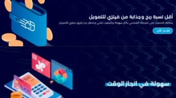 تمويل فينزي