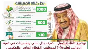 توضيح كافة تفاصيل