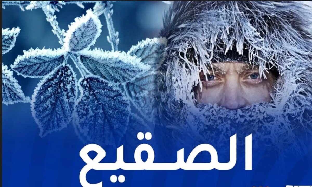 عاجل للجزائريين.. عدم الخروج من المنزل إلا للضرورة القصوى والحذر من طقس اليوم 5 عاجل للجزائريين.. عدم الخروج من المنزل إلا للضرورة القصوى والحذر من طقس اليوم