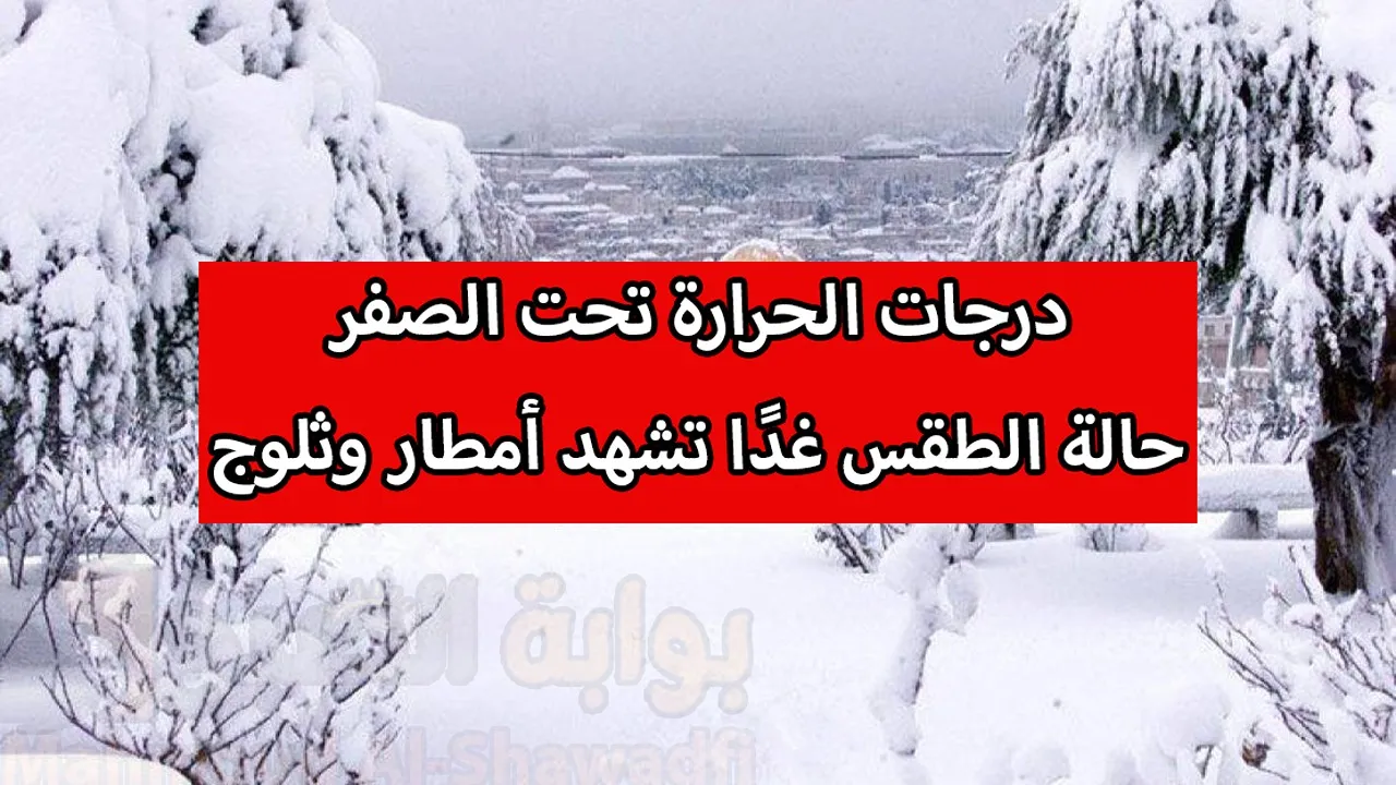 “موجة قطبية”.. حالة الطقس غدًا تشهد أمطار وثلوج ودرجات الحرارة تحت الصفر في مختلف محافظات العراق