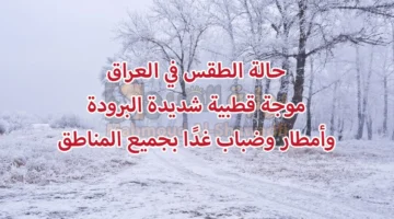 حالة الطقس في العراق. موجة قطبية شديدة البرودة وأمطار وضباب غدًا بجميع المناطق e1734893977108