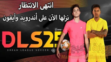 حمل DLS 25 بالخطوات. طريقة تنزيل دريم ليج سوكر 2025 Dream League Soccer على أندرويد وآيفون